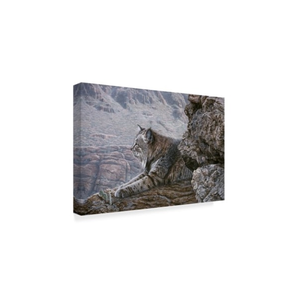 Ron Parker 'Resting Bobcat' Canvas Art,12x19